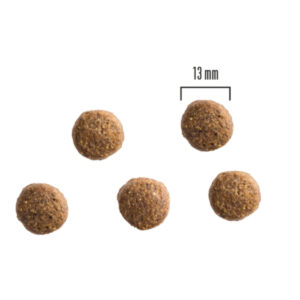 Comanda online PRIMA DOG