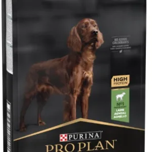 Comanda online PRO PLAN Atletic