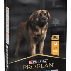 Comanda online PRO PLAN Hrană uscată ROBUST pt câini Adult Large Breed