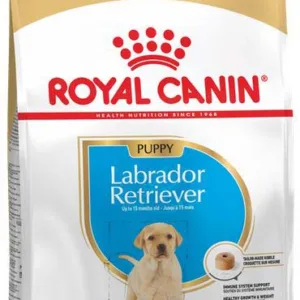Comanda online ROYAL CANIN BHN Labrador Retriever Puppy
