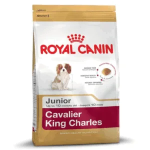 Comanda online ROYAL CANIN Cavalier King Charles Junior Hrana uscata catel rasa Cavalier King Charles 1