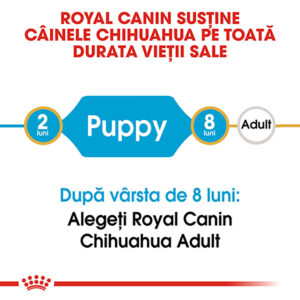 Comanda online ROYAL CANIN Chihuahua Puppy