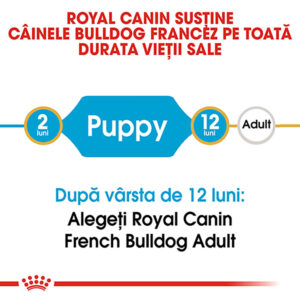 Comanda online ROYAL CANIN French Bulldog Puppy