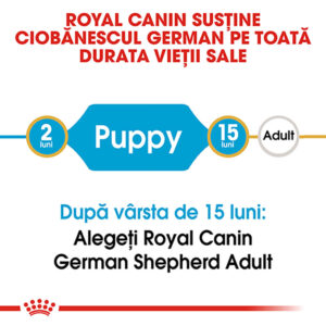 Comanda online ROYAL CANIN German Shepherd Puppy