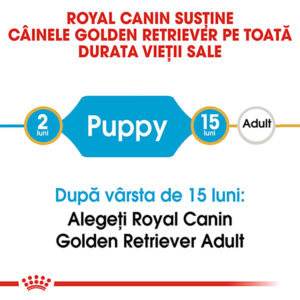 Comanda online ROYAL CANIN Golden Retriever Puppy
