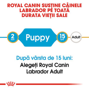 Comanda online ROYAL CANIN Labrador Puppy