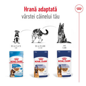 Comanda online ROYAL CANIN Maxi Adult