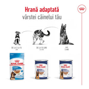 Comanda online ROYAL CANIN Maxi Adult hrană umedă câini (pate)