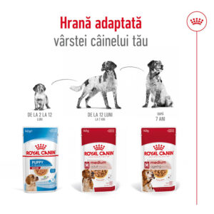 Comanda online ROYAL CANIN Medium Adult hrană umedă câini (în sos)