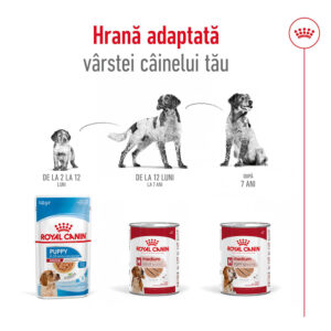 Comanda online ROYAL CANIN Medium Adult hrană umedă câini (pate)