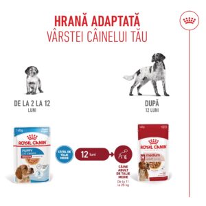 Comanda online ROYAL CANIN Medium Puppy