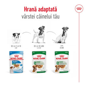 Comanda online ROYAL CANIN Mini Adult