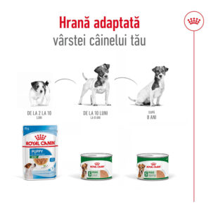 Comanda online ROYAL CANIN Mini Adult hrană umedă câini (pate)