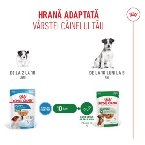 Comanda online ROYAL CANIN Mini Puppy