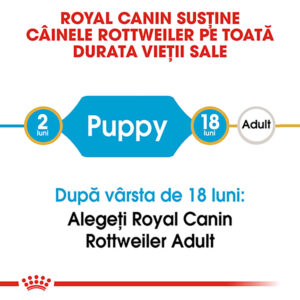 Comanda online ROYAL CANIN Rottweiller Puppy
