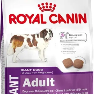 Comanda online ROYAL CANIN SHN Giant Adult
