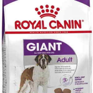Comanda online ROYAL CANIN SHN Giant Adult