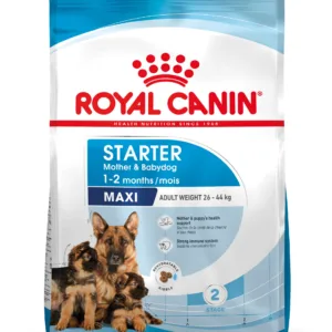 Comanda online ROYAL CANIN SHN Maxi Starter Mother & Babydog