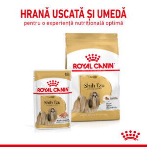 Comanda online ROYAL CANIN Shih Tzu Adult hrană umedă câini (pate)