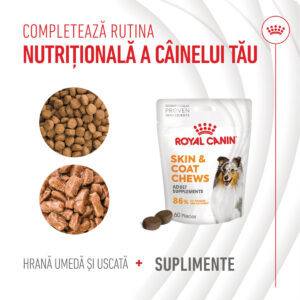 Comanda online ROYAL CANIN Skin & Coat chews Adult Supplements