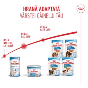 Comanda online ROYAL CANIN Starter Mousse