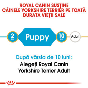Comanda online ROYAL CANIN Yorkshire Puppy