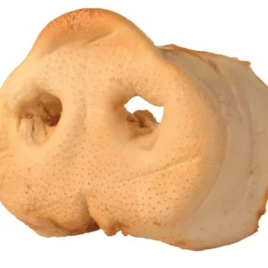 Comanda online Rat de Porc 1 buc 2722