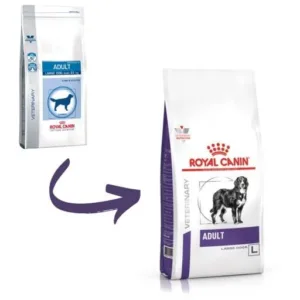 Comanda online Royal Canin Adult Large Dog 13 kg