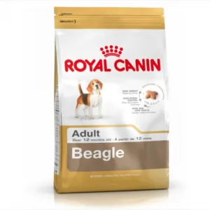 Comanda online Royal Canin Beagle hrana uscata - 3 kg
