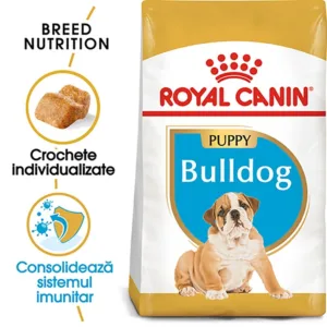 Comanda online Royal Canin Bulldog Puppy hrana uscata caine junior