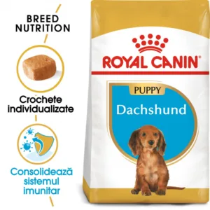Comanda online Royal Canin Dachshund Junior 1.5 kg