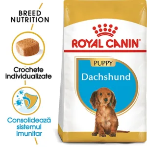 Comanda online Royal Canin Dachshund Puppy hrana uscata caine junior Teckel