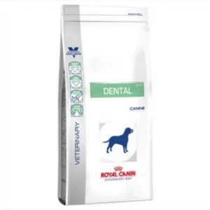 Comanda online Royal Canin Dental Dog Dry 6 Kg