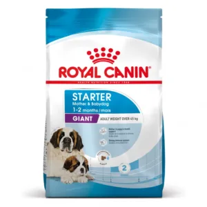 Comanda online Royal Canin Giant Starter Mother  Babydog