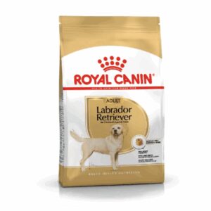Comanda online Royal Canin Labrador Retriever adult