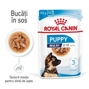 Comanda online Royal Canin Maxi Puppy hrana umeda caine junior (in sos)