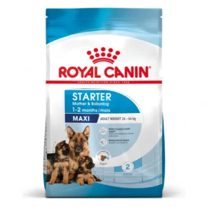Comanda online Royal Canin Maxi Starter Mother  Babydog