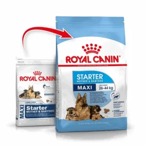 Comanda online Royal Canin Maxi Starter Mother & Babydog gestatie/ lactatie pui hrana uscata caine 15 kg