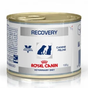 Comanda online Royal Canin Recovery Dog  Cat 195 g