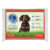 4DOG Mixt, XS-XL, Pui și Vită, plic hrană umedă câini, (în sos), multipack, 100g x 4buc