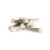 CAMON Codfish Skin & Cornstarch Bones, XS-XL, Cod, punguță recompense câini, 80g
