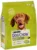 DOG CHOW Hrană uscată pentru câini Adult All Breed, cu Pui