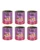 DOLINA NOTECI Premium SuperFood hrana umeda caini adulti, caprioara si carne de vita 800 g x 6 buc.