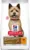 HILL’s Canine Adult Small & Miniature HEALTHY MOBILITY, cu Pui