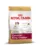ROYAL CANIN Cavalier King Charles Junior Hrana uscata catel rasa Cavalier King Charles 1,5 kg
