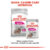 ROYAL CANIN Exigent Adult hrană umedă câini apetit capricios (pate), 85g