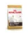 ROYAL CANIN Jack russell terrier junior Hrana uscata catei rasa Jack Russell 1.5 kg