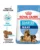 ROYAL CANIN Maxi Starter Mother&Babydog gestatie/ lactatie pui hrana uscata caine 30 kg (2 x 15 kg)