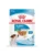 ROYAL CANIN Mini Puppy 24×85 g hrana umeda in sos pentru catei pana la 10 luni, rase mici
