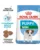 ROYAL CANIN Mini Puppy/Junior hrana uscata caine junior 8 kg + Mini puppy hrana umeda 12×85 g